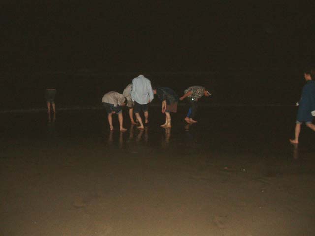 SUSUEYE2003_001_b
