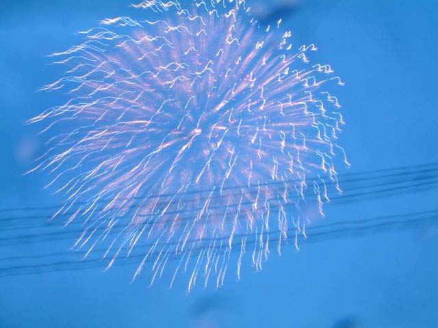 SUSUEYE2003_008_b