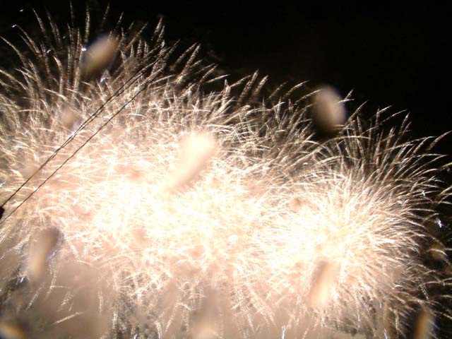 SUSUEYE2003_041_b