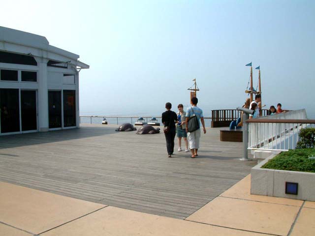 SUSUEYE2003_087_b