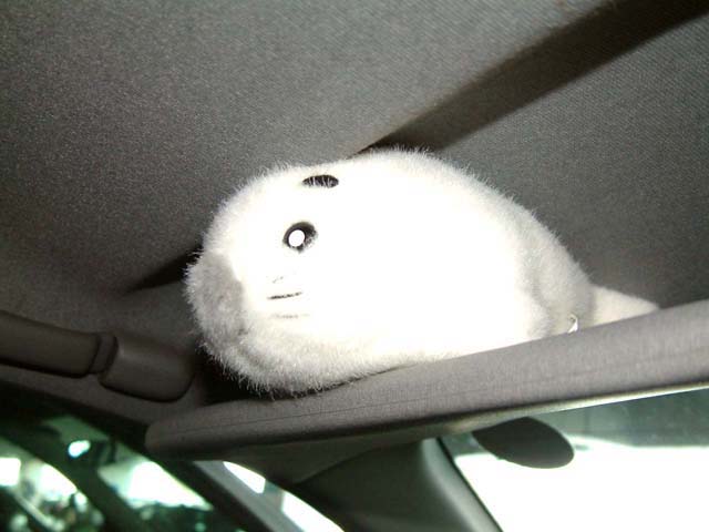 SUSUEYE2003_115_b