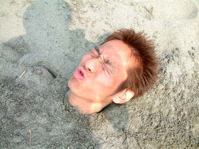 SUSUEYE2003_134_b