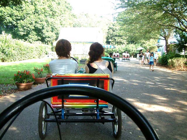 SUSUEYE2003_187_b