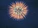 SUSUEYE2003_011_b
