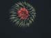 SUSUEYE2003_020_b