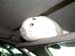 SUSUEYE2003_115_b
