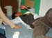 SUSUEYE2003_211_b